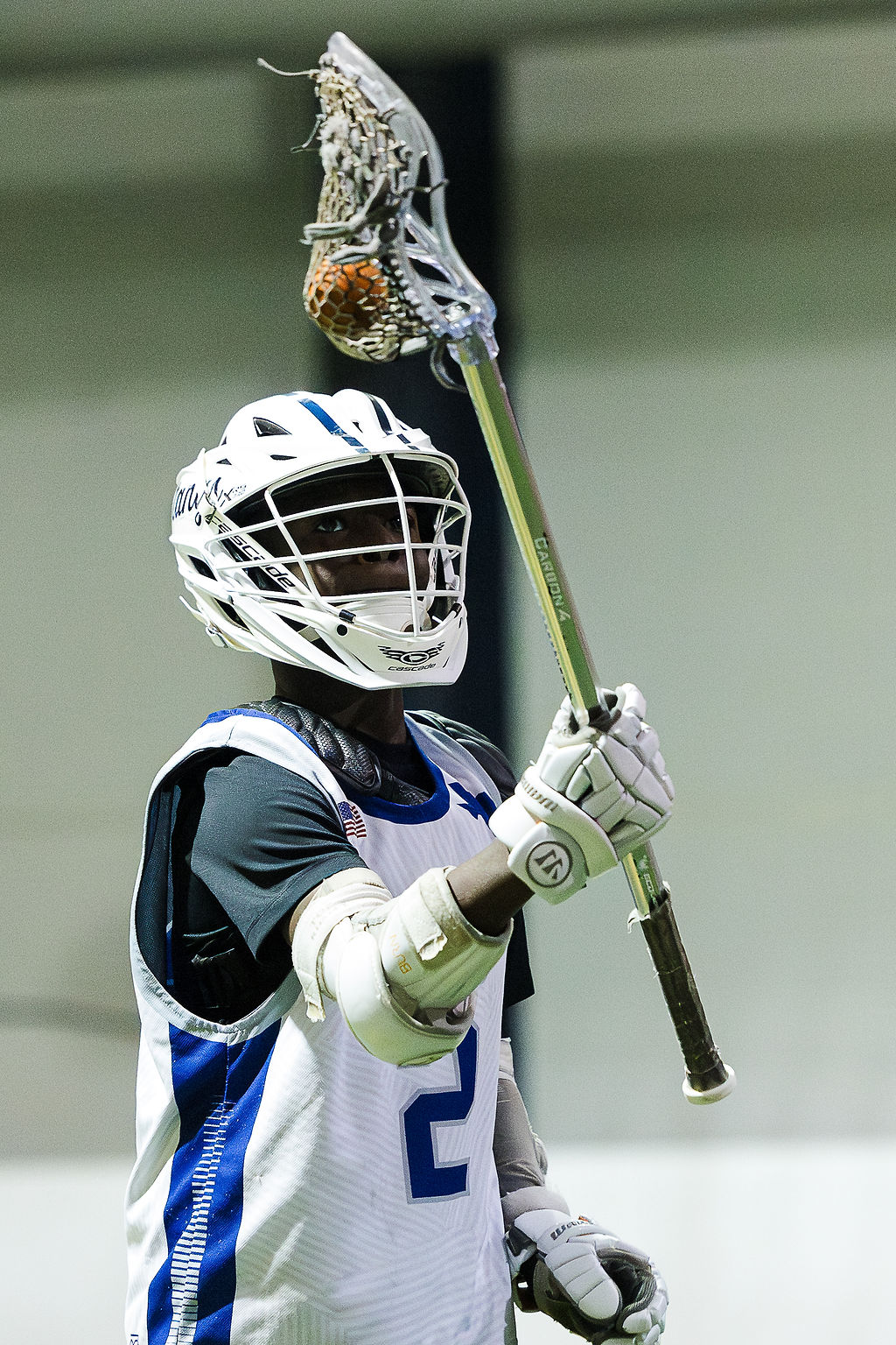 ShadowCats Box Lacrosse